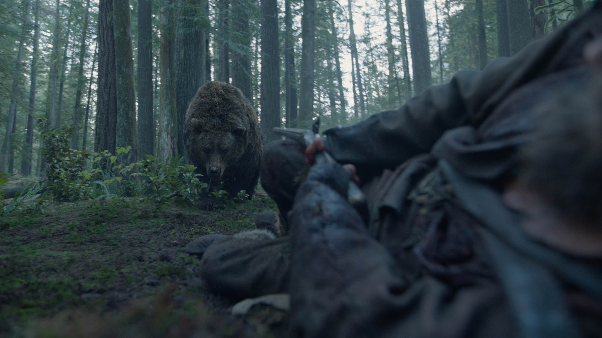 The Revenant (2015)