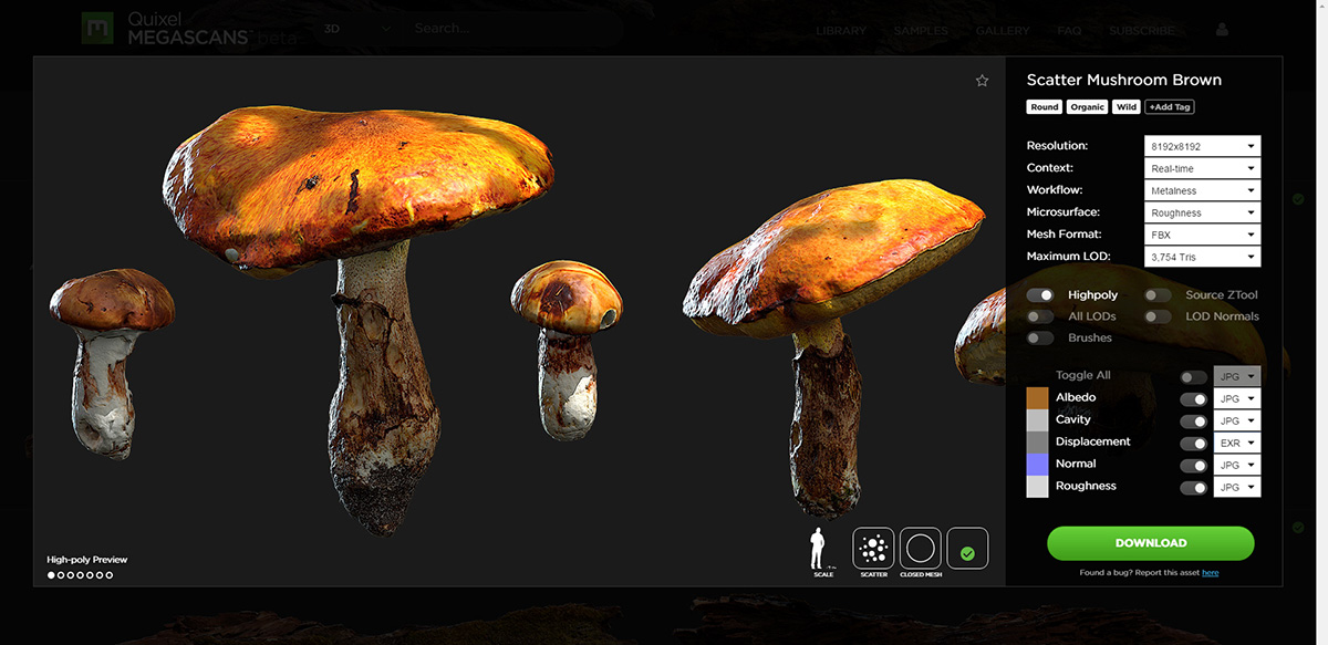 Site_Megascans_Customization