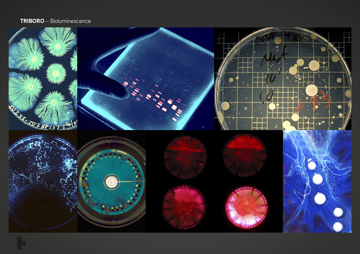 01_Bioluminescence_Moodboard_0002