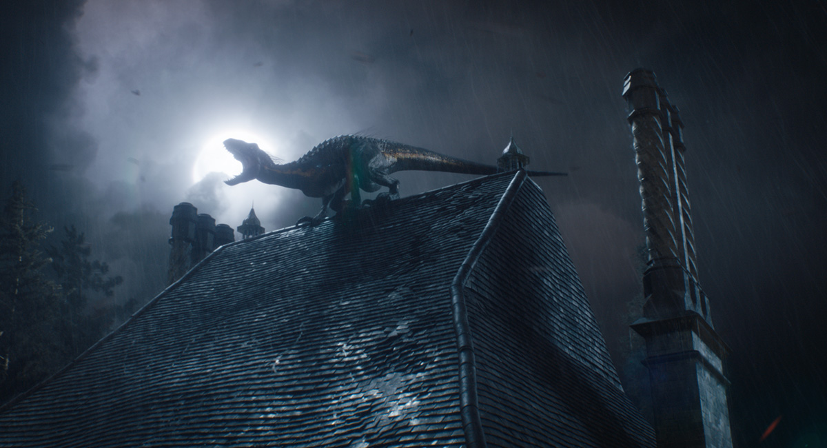 bi0010.comp.065811.johnga_v27.1300